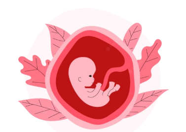 (2021). Premium Vector | Hand drawn fetus illustration. Freepik. (Disponível em 9/12/2024)  