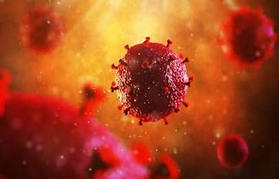 Morsch, A. (2021). AIDS: o que é, qual é o cenário no Brasil e como prevenir? Telemedicina Morsch: Referência Em Laudo a Distância No Brasil. (Disponível em 9/12/2024)