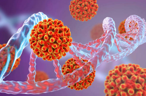 (2024). Prevention of Hepatitis B Virus Reactivation in Patients With B-Cell Lymphoma. Hematology Advisor. (Disponível em 9/12/2024)