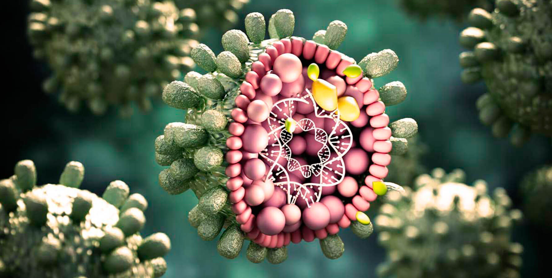 Cosdon, N. (2023). Quantifying Hepatitis B Viral Reservoirs in the Liver. ContagionLive. (Disponível em 9/12/2024)